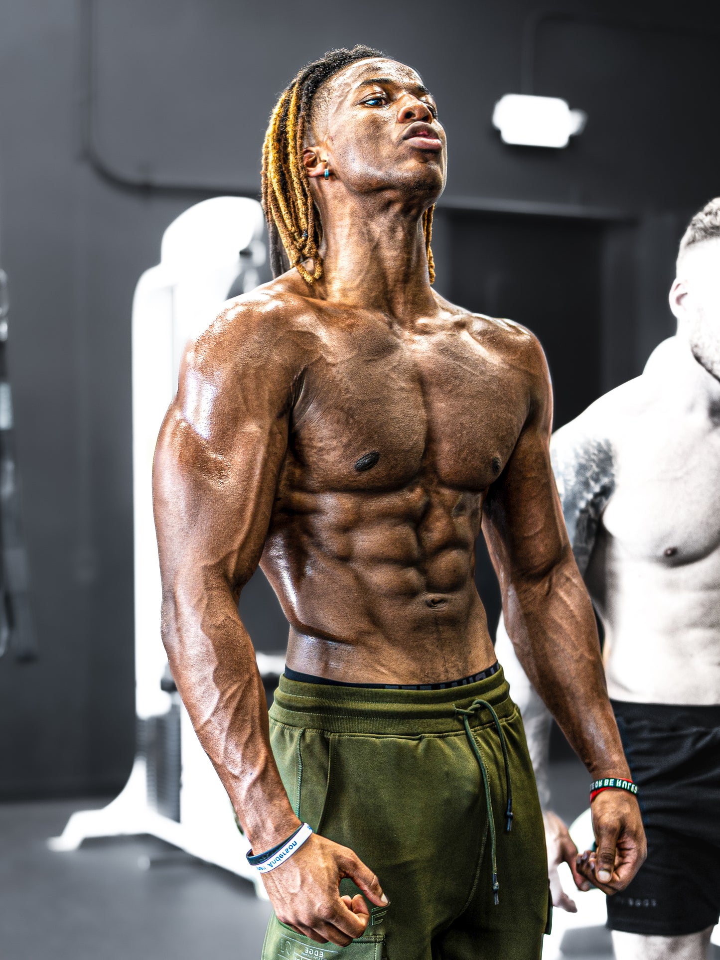 5 Day Aesthetics Workout Program